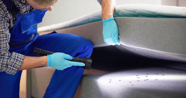 Pest Prevention Services in Nevada City, CA
