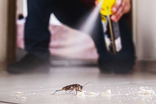 Best Pest Control Near Me  in Nevada City, CA